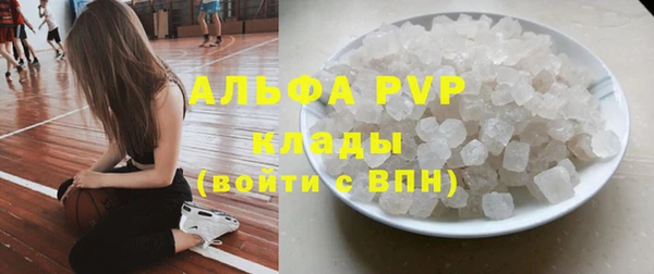 прущие грибы Баксан