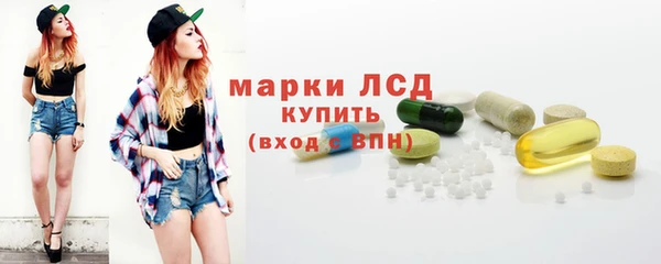 прущие грибы Баксан