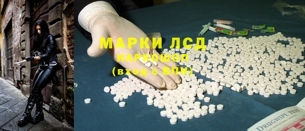 прущие грибы Баксан