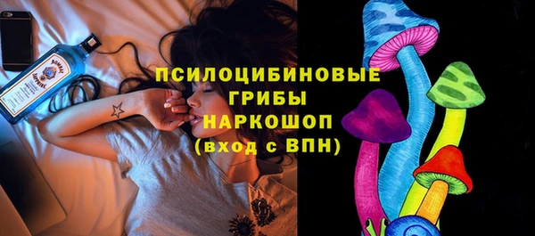 прущие грибы Баксан