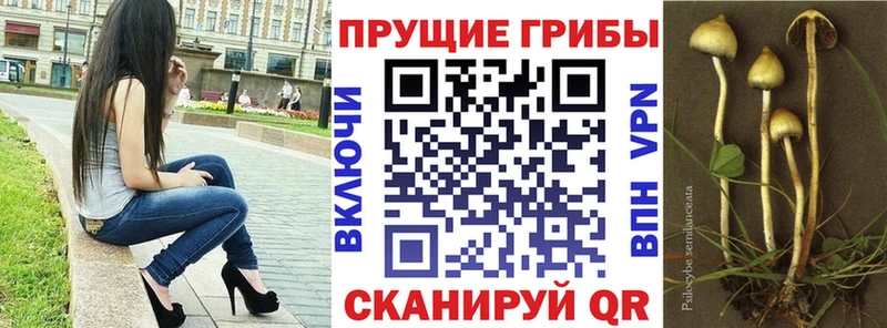 Псилоцибиновые грибы GOLDEN TEACHER  Ядрин 