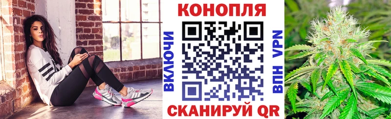 купить наркоту  Ядрин  Шишки марихуана марихуана 